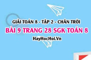 Bài 9 trang 28 Toán 8 Tập 2 Chân trời sáng tạo